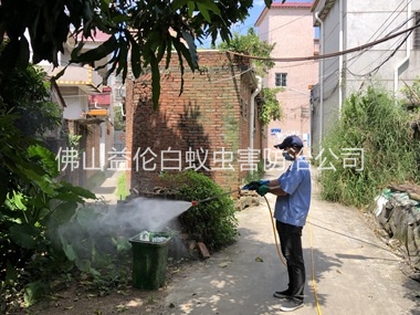 祖庙灭蚊预防“两热”工程